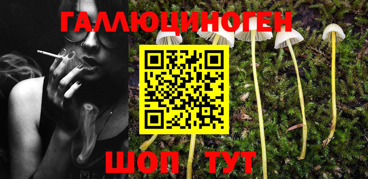 Ирбит  Галлюциногенные грибы Magic Shrooms  Вход с VPN  Галлюциногенные грибы GOLDEN TEACHER 
